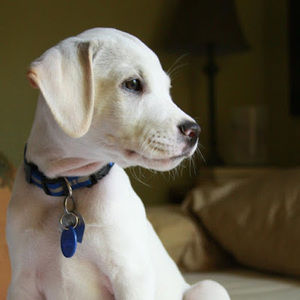 Meet your Posher, Jackie